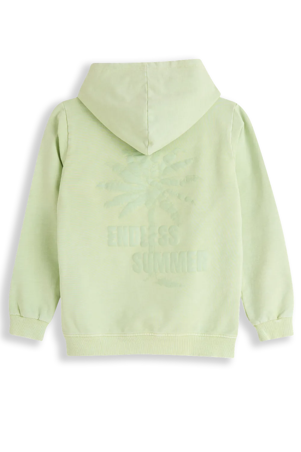4President Ruben jongens hoodie pastelgroen surfprint