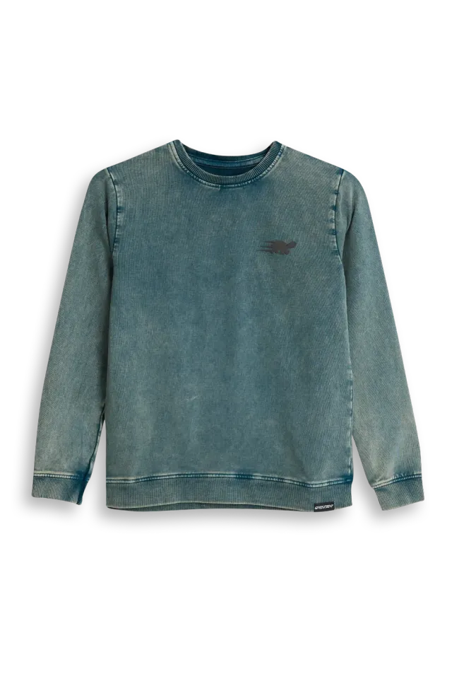 4PRESIDENT Pieter sweater Grey streetstyle print