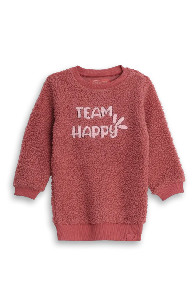 4PRESIDENT Floortje sweatjurk Dusty Cedar teddy
