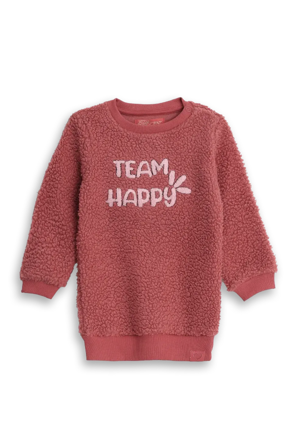 4PRESIDENT Floortje sweatjurk Dusty Cedar teddy