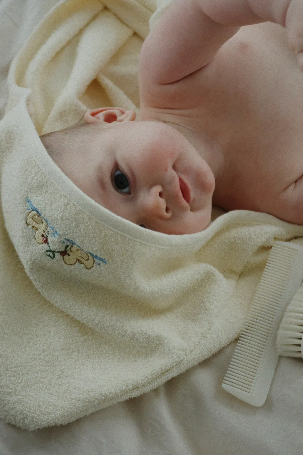 Konges Sløjd Babyborstelset babyborstel beige wol
