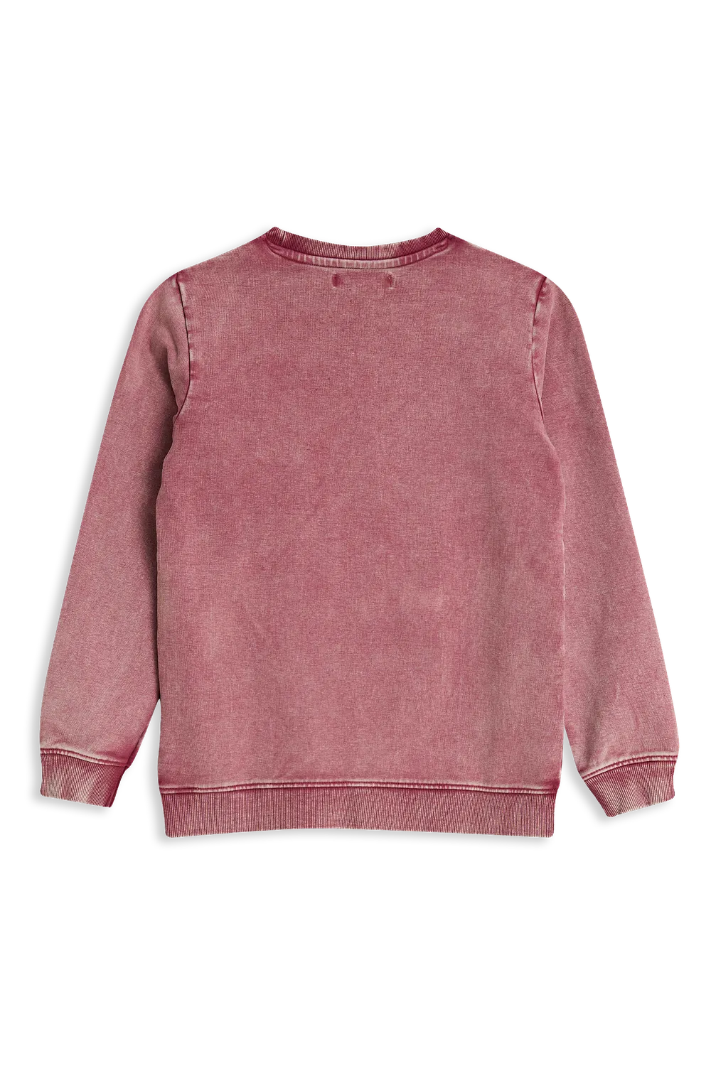 4President Nathalie Purple sweater paars acidwash