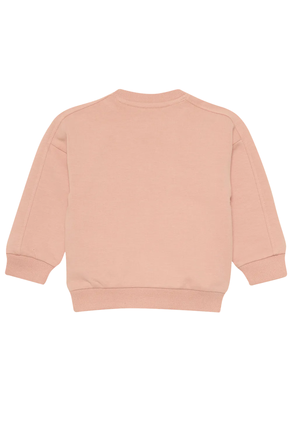 4President Zosja sweater roze vlinderprint meisjes