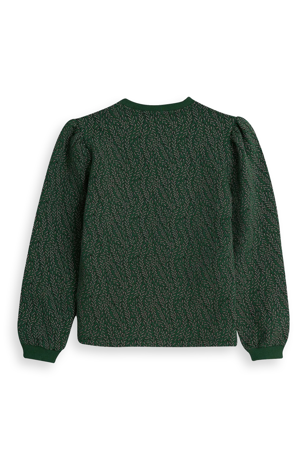 4PRESIDENT Anna Green sweater groen meisjes print