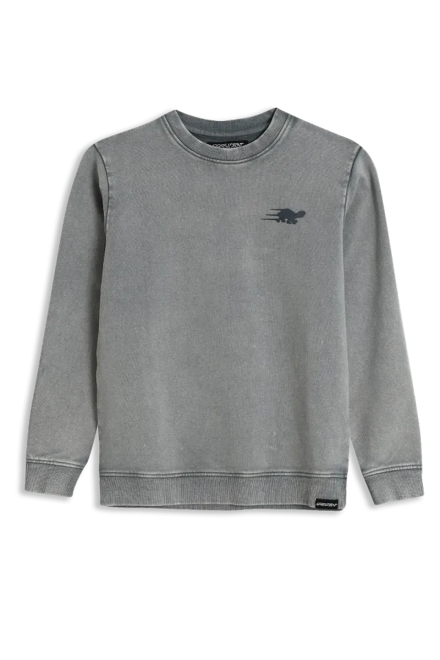 4President Pieter sweater light blue jongens print