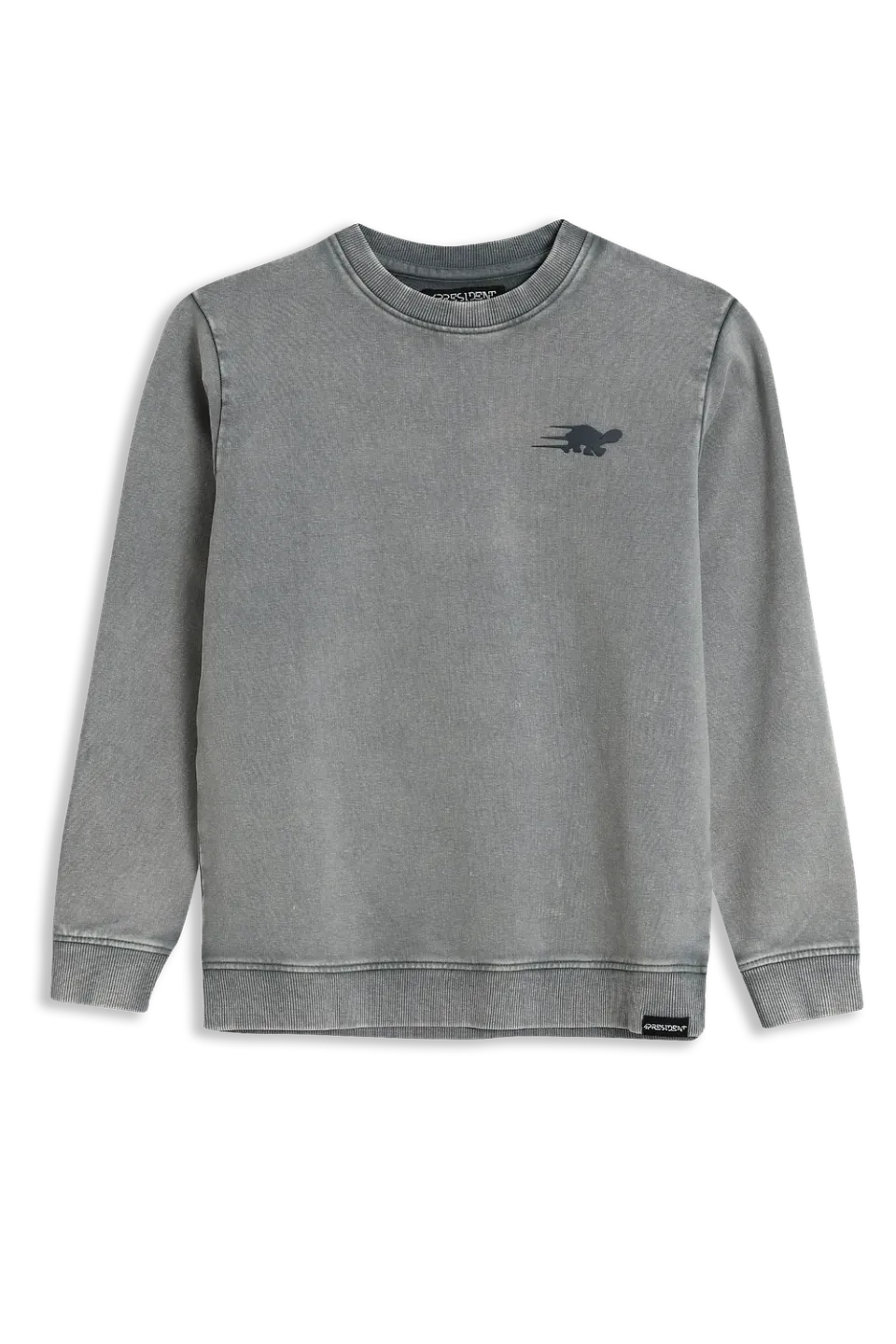4President Pieter sweater light blue jongens print