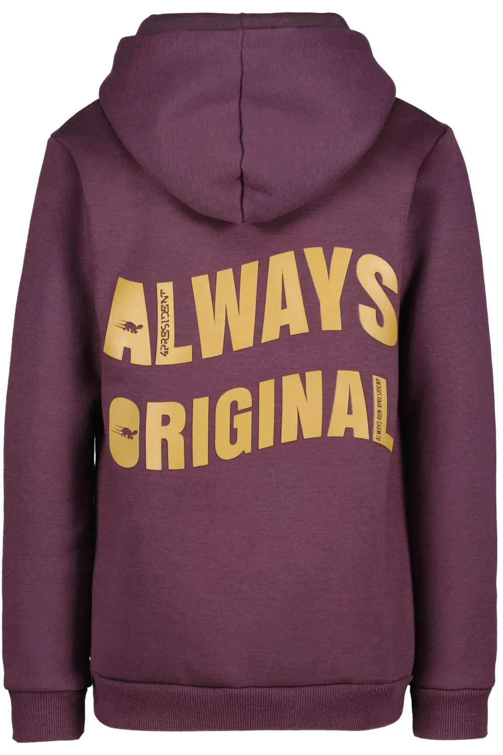 4President Max Hoodie jongens plum perfect rugprint