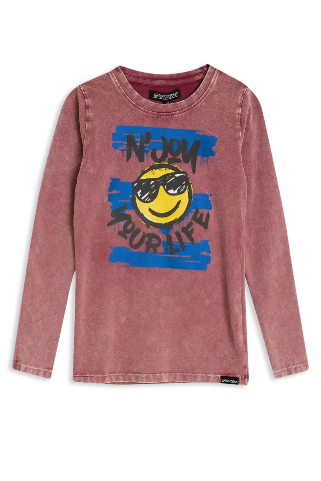 4President Nina Purple sweater paars acidwash
