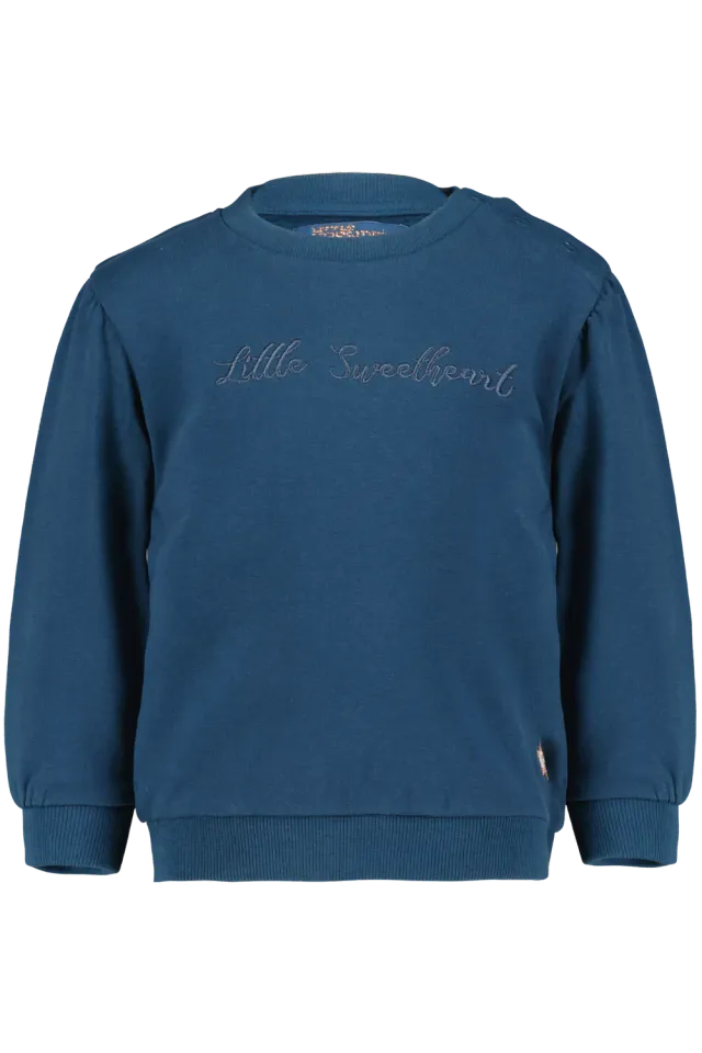 4PRESIDENT Kate Blue Wing Teal sweater meisjes katoen