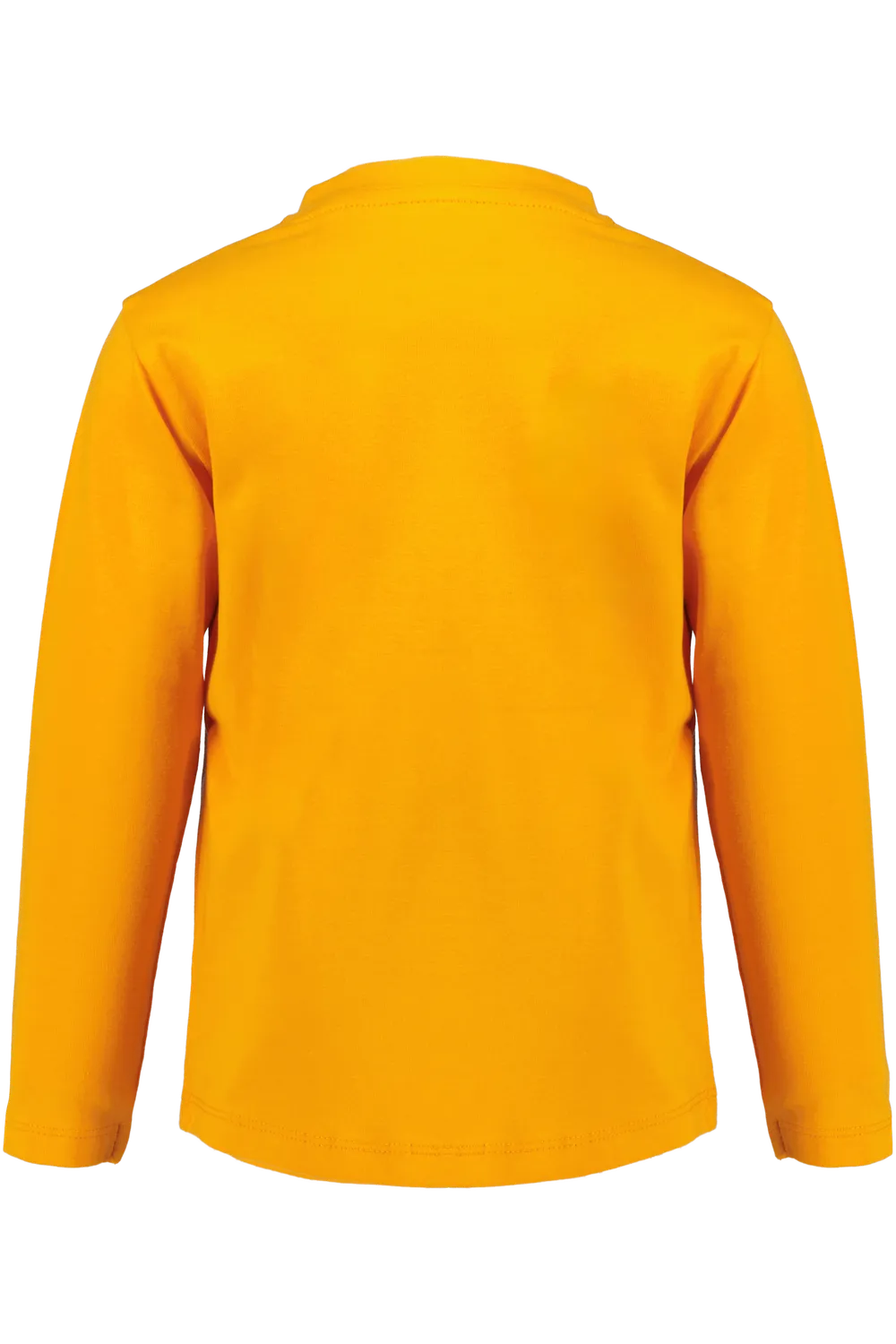4President Ronan longsleeve katoen jongens print