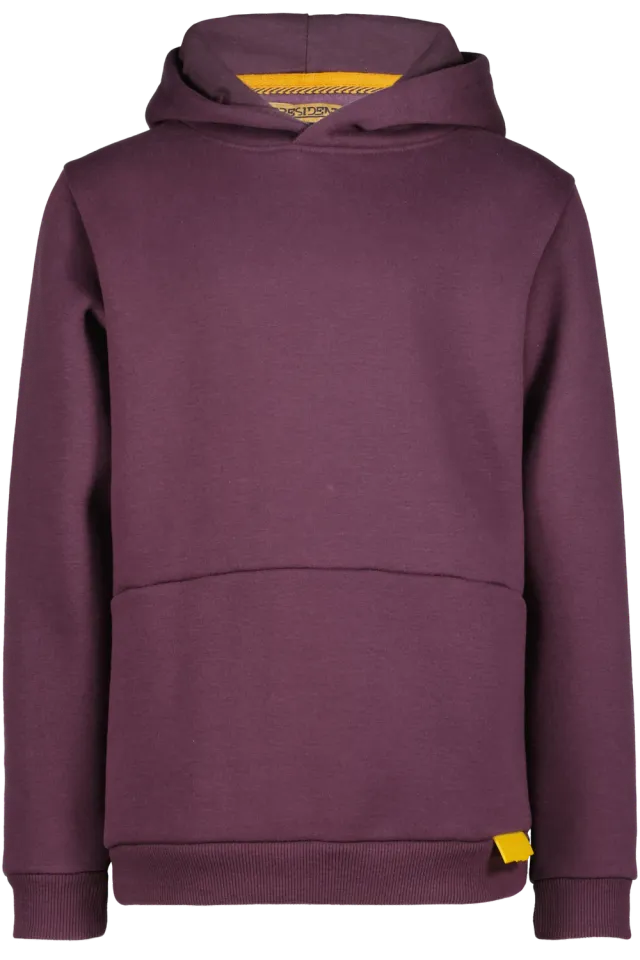 4President Max Hoodie jongens plum perfect rugprint